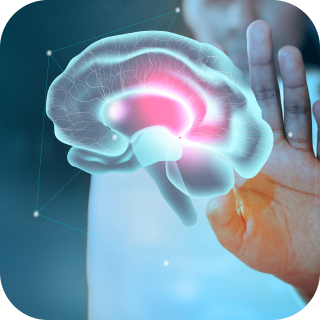 Нейроиммунология 